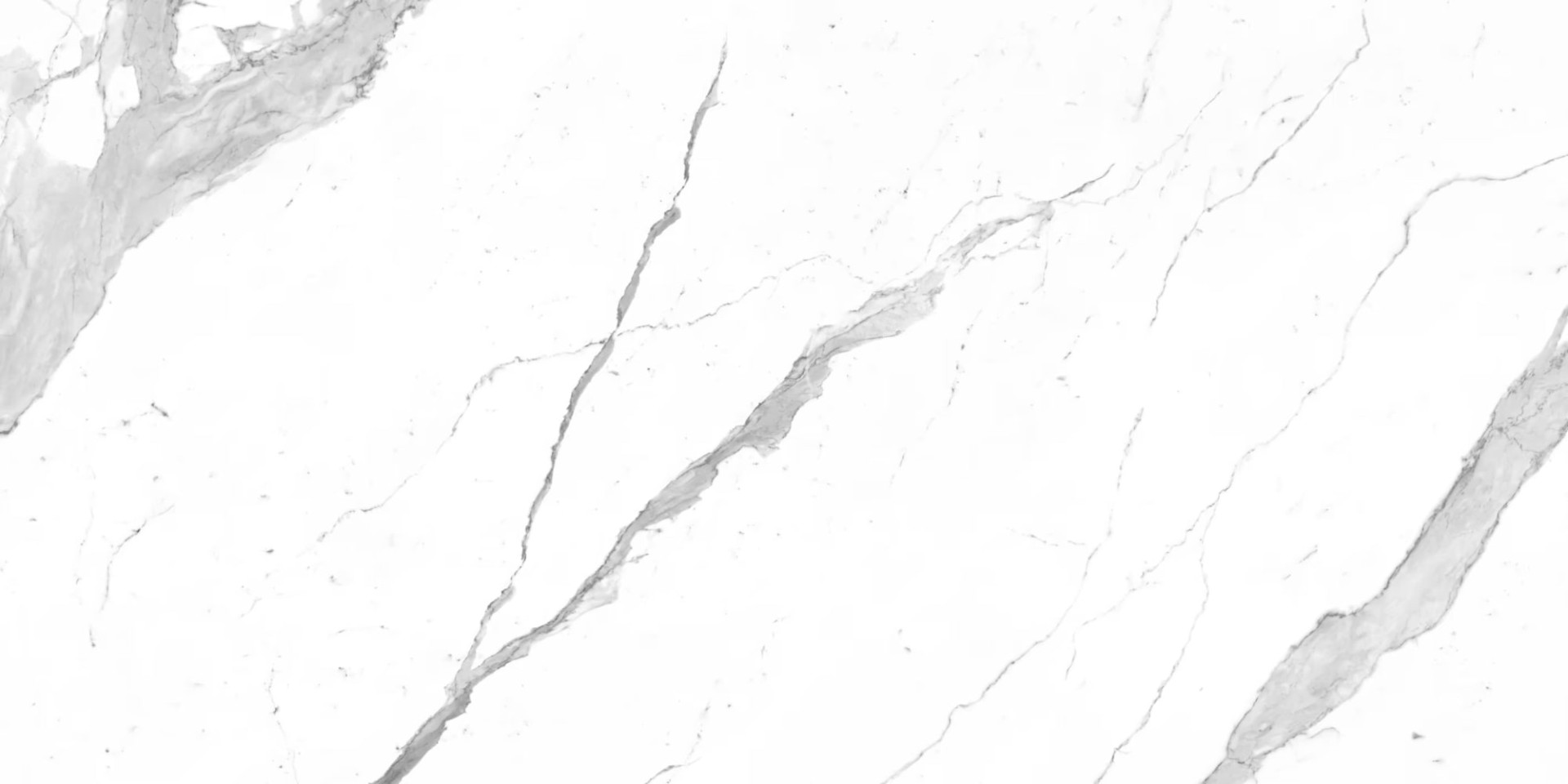 Bianco Statuario Venato